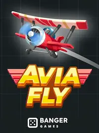 Avia Fly crash at AAGO
